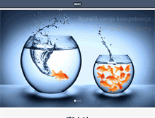 Tablet Screenshot of heksagon.com.pl